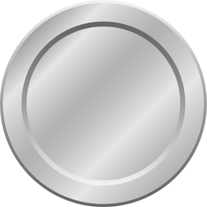 Silver Coin Icon         